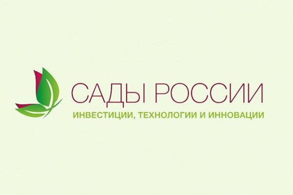 Кракен маркет зайти