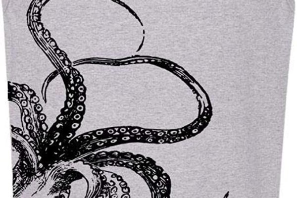 Kraken 24 top