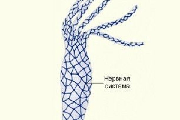 Даркнет заказ