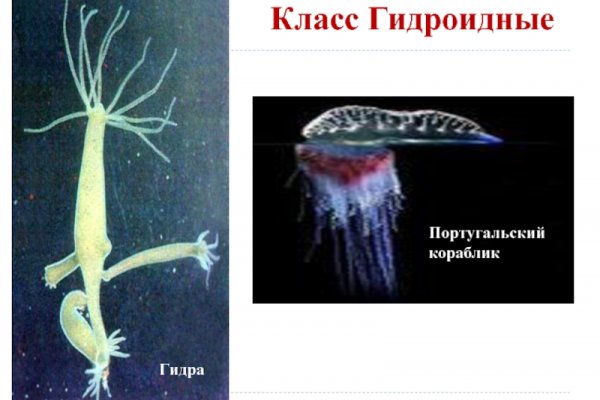 Ссылка адрес на кракен