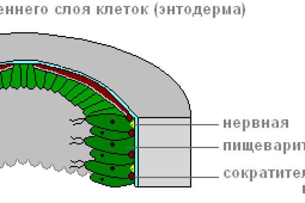 Кракен зеркала krk store com