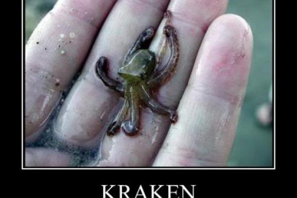 Кракен клир