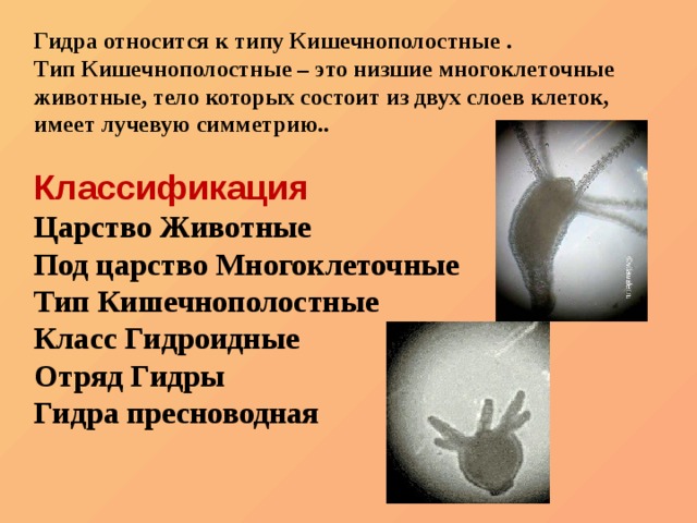 Kraken сайт зеркала