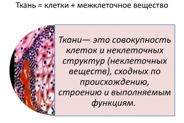 Кракен впн
