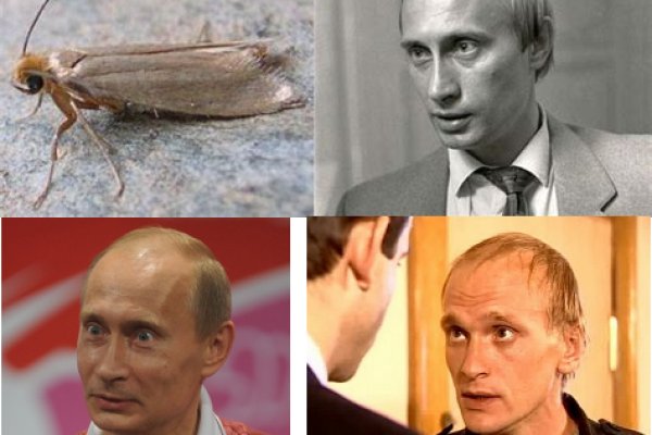 Даркнет каталог