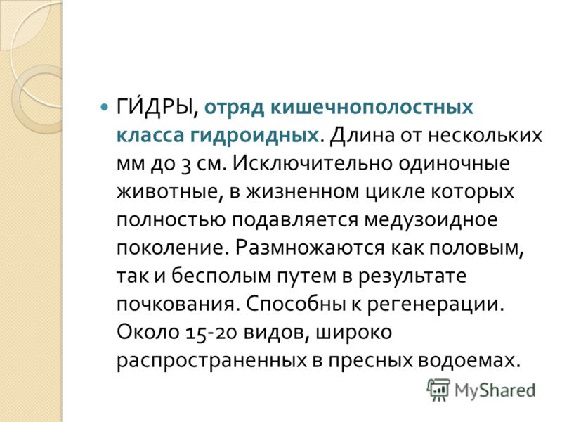 Кракен маркет даркнет только через тор скачать