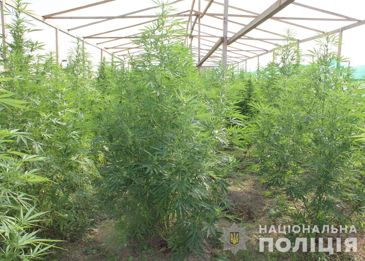 Что продают на сайте кракен